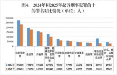 派加入国际会议、国际构和